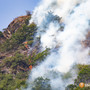 Incendi nel VCO, Falcioni: "Le montagne vanno manutenute, serve un ritorno alle origini" Incendi nel VCO, Falcioni: "Le montagne vanno manutenute, serve un ritorno alle origini"