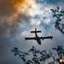 Incendi nel Vco, situazione in miglioramento ma resta alta l'attenzione: ancora al lavoro Canadair ed elicottero a Premosello Incendi nel Vco, situazione in miglioramento ma resta alta l'attenzione: ancora al lavoro Canadair ed elicottero a Premosello