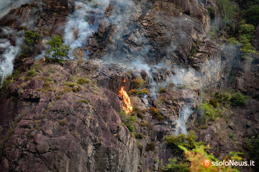 Incendi boschivi, M5S: "Il Piemonte è ancora senza un piano regionale. Basta ritardi"