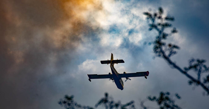 Incendi nel Vco, situazione in miglioramento ma resta alta l'attenzione: ancora al lavoro Canadair ed elicottero a Premosello Incendi nel Vco, situazione in miglioramento ma resta alta l'attenzione: ancora al lavoro Canadair ed elicottero a Premosello