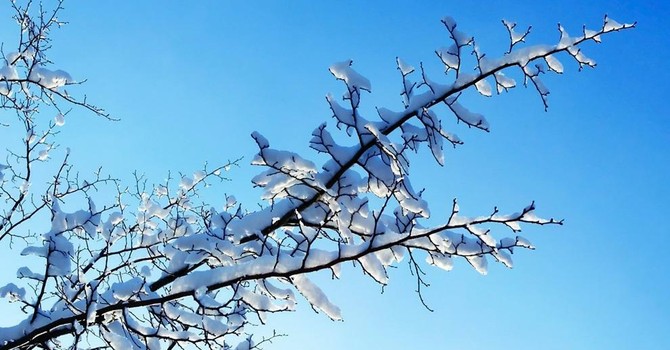 Inverno “caldo” in arrivo: dicembre e gennaio tra piogge e temperature sopra la media