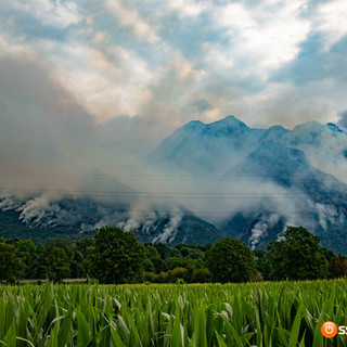 Incendi, l'appello dei forestali: "Serve una gestione attiva dei boschi"
