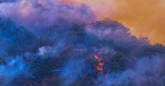 Post incendi in Ossola, lunedì Enrico Borghi incontra i sindaci dei comuni colpiti