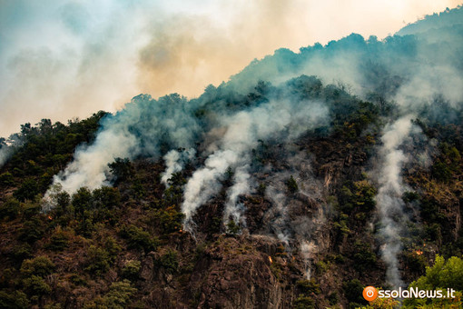 Premosello, la minoranza dopo l'incendio: "Pronti a collaborare per il post-emergenza" Premosello, la minoranza dopo l'incendio: "Pronti a collaborare per il post-emergenza"