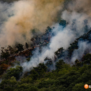 Incendio a Premosello, oltre 800 ettari devastati: parte la richiesta di stato di emergenza