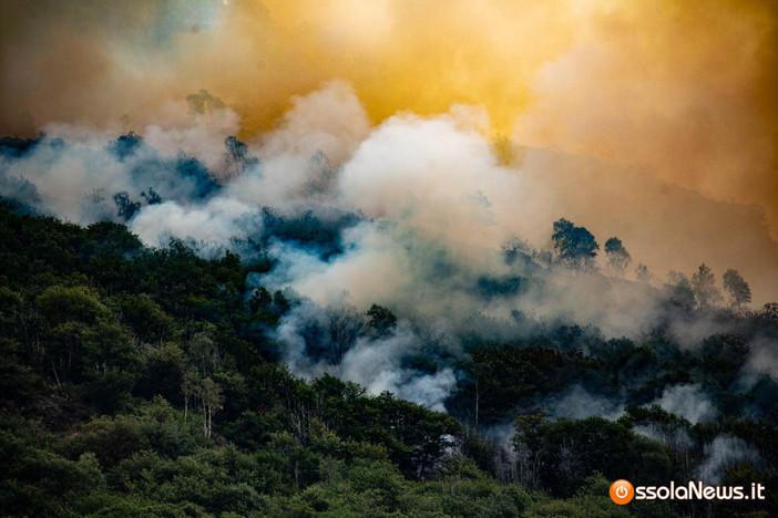 Premosello Chiovenda ringrazia chi ha affrontato l'emergenza incendio: "La nostra comunità ha mostrato il suo volto migliore" Premosello Chiovenda ringrazia chi ha affrontato l'emergenza incendio: "La nostra comunità ha mostrato il suo volto migliore"