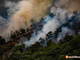 Incendio a Premosello, oltre 800 ettari devastati: parte la richiesta di stato di emergenza