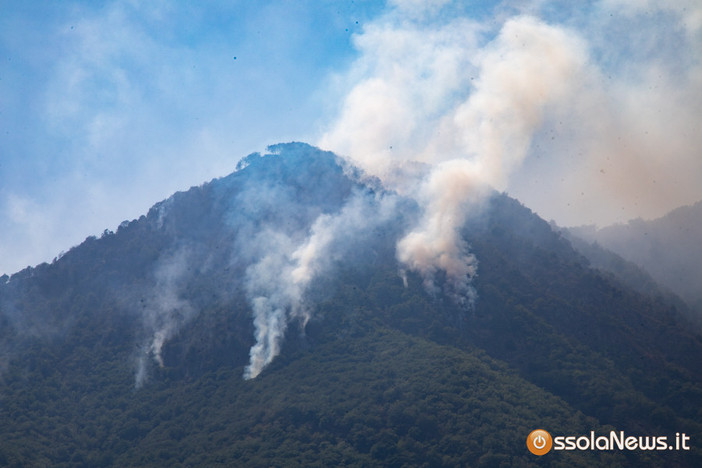 Incendi, Noi Moderati Vco: "Basta giudicare dal divano, rispetto per chi combatte le fiamme" Incendi, Noi Moderati Vco: "Basta giudicare dal divano, rispetto per chi combatte le fiamme"
