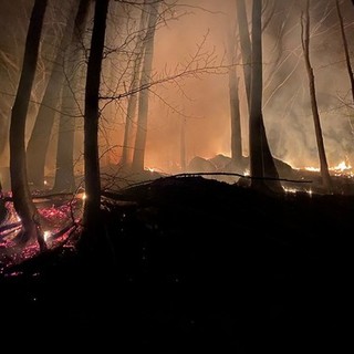 Incendi boschivi, la Regione Piemonte approva le linee guida per i piani di prevenzione territoriali