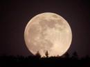 Il cielo di ottobre regala la Superluna Il cielo di ottobre regala la Superluna