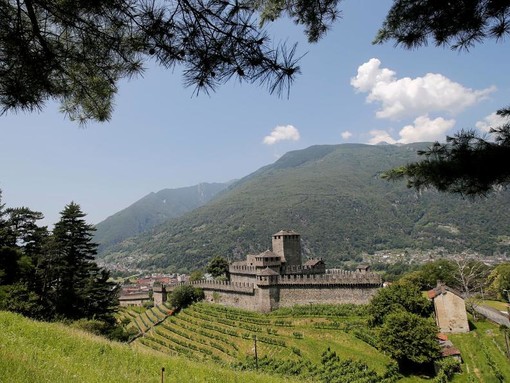 Percorsi autunnali: le colline fortificate di Bellinzona