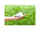 Ecolamp, nel 2024 due tonnellate di lampadine esauste raccolte nel Vco