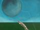 Luna Piena dello Storione vista dal pittore Franco Gotta