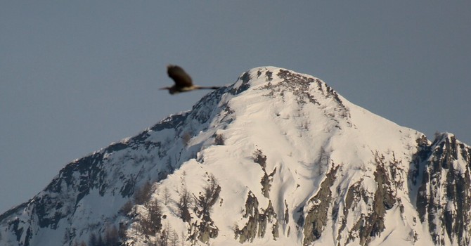 Qualità dell'aria accettabile nel Vco, situazione 'critica' nel vicino Vallese