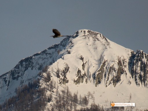 Qualità dell'aria accettabile nel Vco, situazione 'critica' nel vicino Vallese Qualità dell'aria accettabile nel Vco, situazione 'critica' nel vicino Vallese