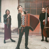 &quot;Musica in quota&quot;, Giulia Bertasi Trio in scena al rifugio Città di Busto