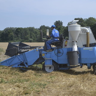 Agricoltura piemontese in piazza: “Servono risposte, non rinvii” Agricoltura piemontese in piazza: “Servono risposte, non rinvii”