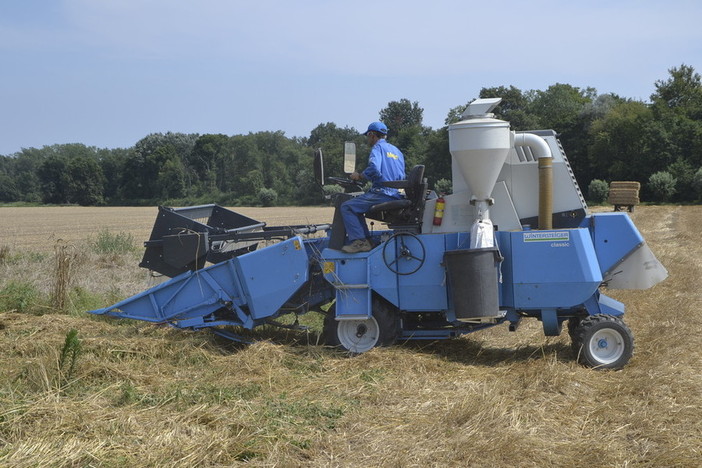Agricoltura piemontese in piazza: “Servono risposte, non rinvii” Agricoltura piemontese in piazza: “Servono risposte, non rinvii”