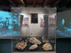 Ripartono le attività didattiche dei musei di Baveno e Mergozzo