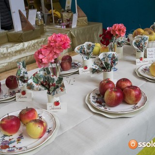 A Baceno torna la Sagra MeleMiele: due giorni di gusto e tradizione A Baceno torna la Sagra MeleMiele: due giorni di gusto e tradizione