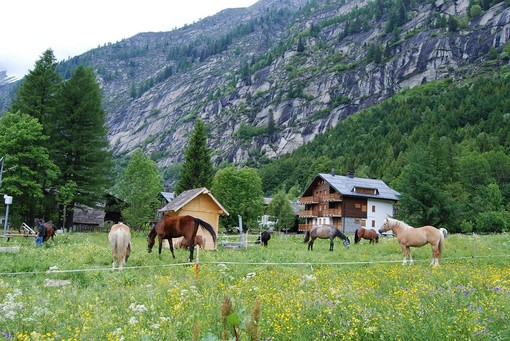 “End of Summer” a Macugnaga: musica, griglia e dj set ai piedi del Monte Rosa