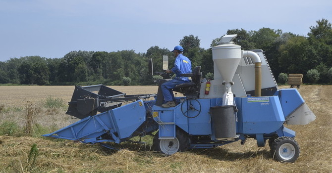 Gasolio agricolo, dal Governo 60 milioni di euro contro il caro carburante: soddisfazione di Coldiretti