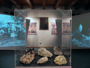 Ripartono le attività didattiche dei musei di Baveno e Mergozzo