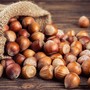 Nocciole piemontesi, Coldiretti chiede interventi urgenti alla Regione Nocciole piemontesi, Coldiretti chiede interventi urgenti alla Regione