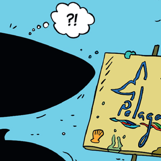 Non solo fumetti. “Io sono Balenottera”: la balena parlante che racconta il Santuario Pelagos