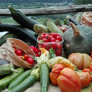 Orto e frutteto bio, incontri per scoprire i segreti della coltivazione naturale