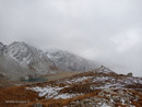 Sulle montagne della Val d'Ossola per osservare il gipeto