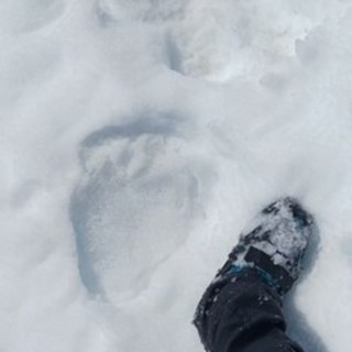 L'impronta lasciata da M29 a Pogallo