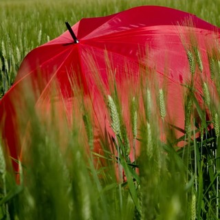 Nel Vco l'estate meteorologica inizia con l'allerta gialla per temporali