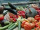 Orto e frutteto bio, incontri per scoprire i segreti della coltivazione naturale