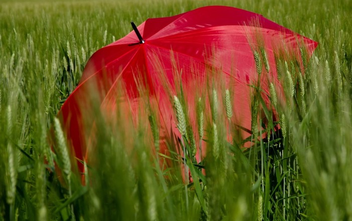 Nel Vco l'estate meteorologica inizia con l'allerta gialla per temporali Nel Vco l'estate meteorologica inizia con l'allerta gialla per temporali