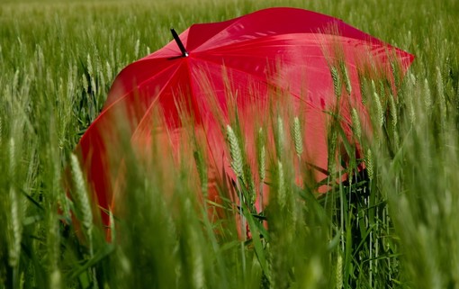 Nel Vco l'estate meteorologica inizia con l'allerta gialla per temporali Nel Vco l'estate meteorologica inizia con l'allerta gialla per temporali