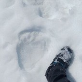 L'impronta lasciata da M29 a Pogallo