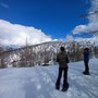 Fagiano di monte: calano i maschi all’Alpe Veglia, stabili all’Alpe Devero