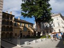 Rinviata ai prossimi giorni la festa per il solstizio d'estate