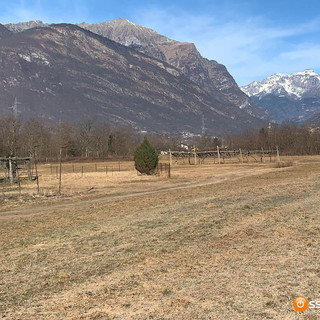 Siccità, il Piemonte avvia la richiesta dello stato di calamità naturale
