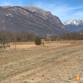 Siccità, il Piemonte avvia la richiesta dello stato di calamità naturale