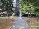 Villadossola, saranno abbattuti cinque alberi pericolanti nel Parco delle Rimembranze