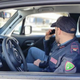 Smantellata una piazza di spaccio nei boschi di Crevoladossola: sequestrati cocaina, hashish e contanti