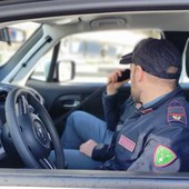 Smantellata una piazza di spaccio nei boschi di Crevoladossola: sequestrati cocaina, hashish e contanti Smantellata una piazza di spaccio nei boschi di Crevoladossola: sequestrati cocaina, hashish e contanti