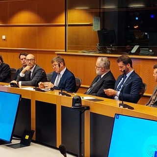 “Presenza del lupo sempre più intensa, l'UE supporti gli Stati colpiti” “Presenza del lupo sempre più intensa, l'UE supporti gli Stati colpiti”