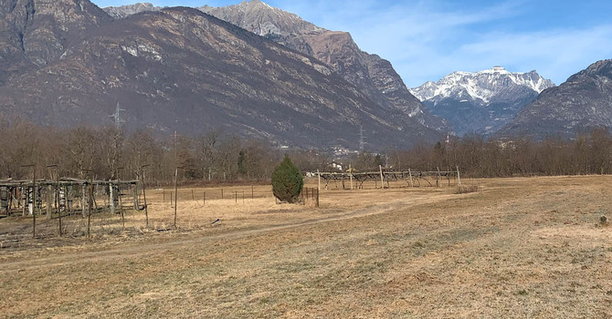 Siccità, il Piemonte avvia la richiesta dello stato di calamità naturale Siccità, il Piemonte avvia la richiesta dello stato di calamità naturale