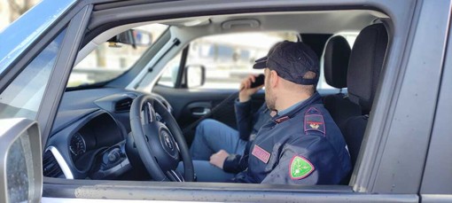 Smantellata una piazza di spaccio nei boschi di Crevoladossola: sequestrati cocaina, hashish e contanti Smantellata una piazza di spaccio nei boschi di Crevoladossola: sequestrati cocaina, hashish e contanti
