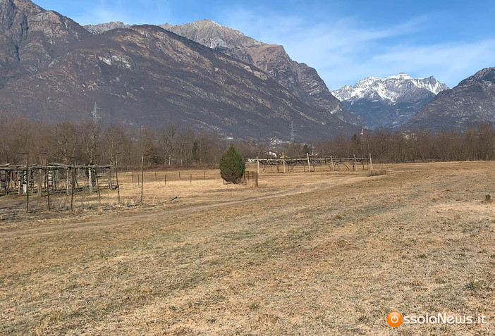 Siccità, il Piemonte avvia la richiesta dello stato di calamità naturale Siccità, il Piemonte avvia la richiesta dello stato di calamità naturale