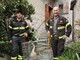 Pieve Vergonte, oca in difficoltà salvata dai Vigili del Fuoco Pieve Vergonte, oca in difficoltà salvata dai Vigili del Fuoco