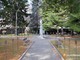 Villadossola, saranno abbattuti cinque alberi pericolanti nel Parco delle Rimembranze